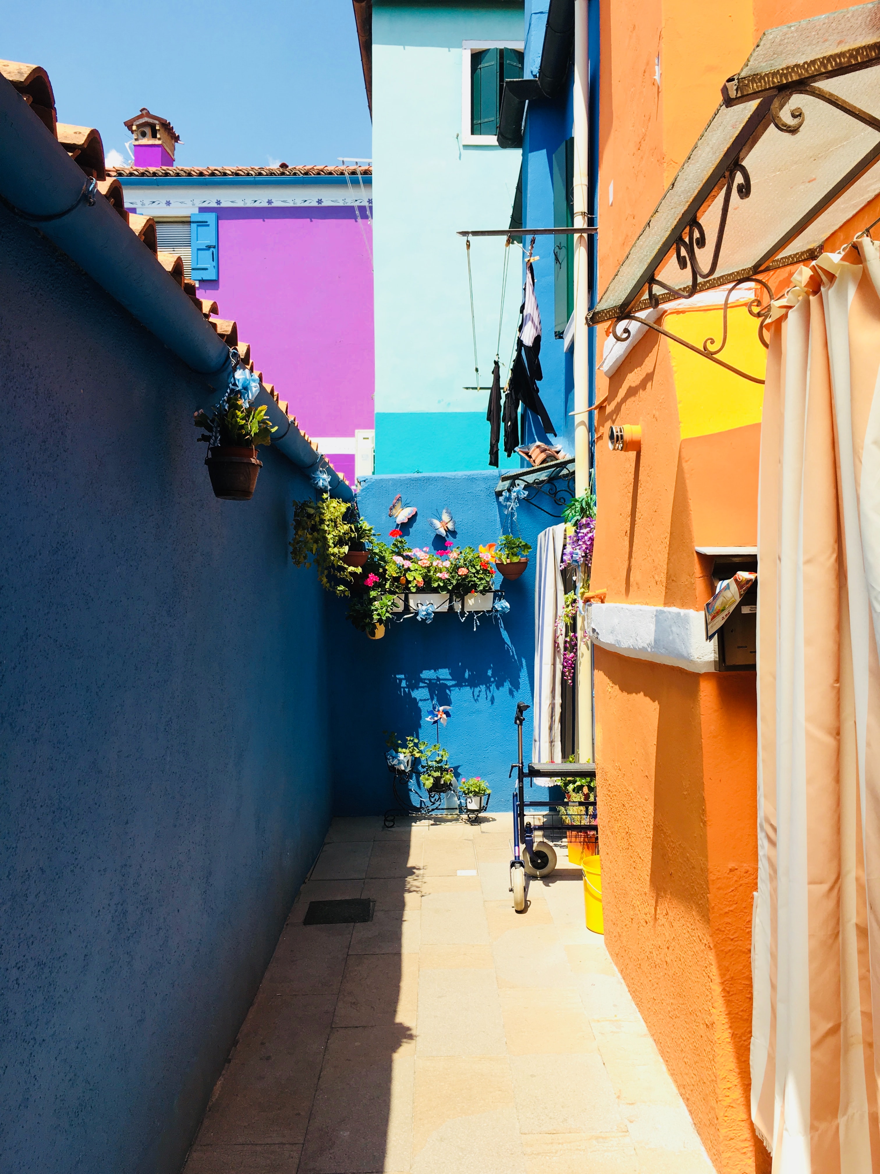 An outdoor patio filled with hanging plants, a clothesline surrounded by bold colored yellow, blue, and purple walls.